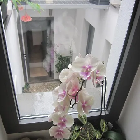 Bed & Breakfast Brancadoria 4*