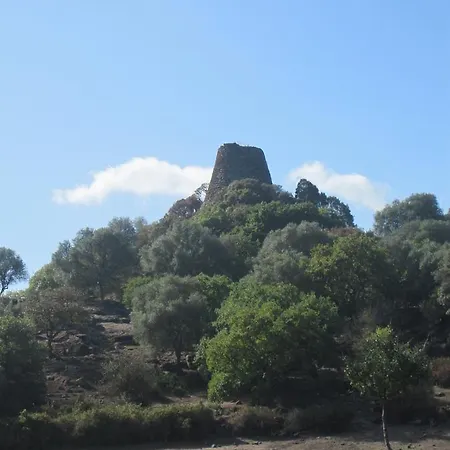 Brancadoria לינה וארוחת בוקר *