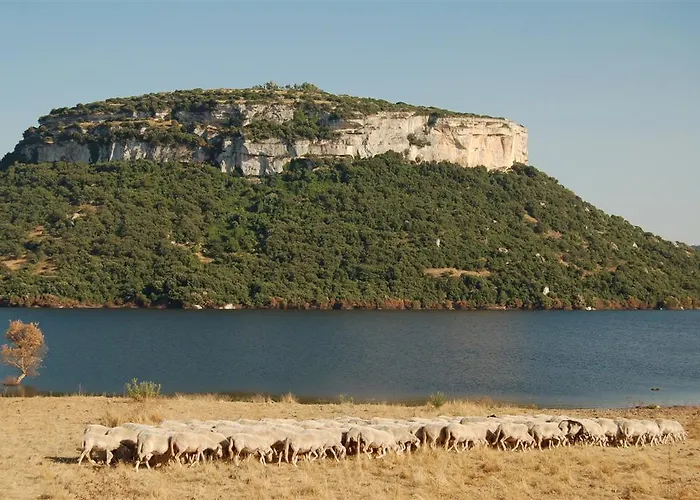 فندق مبيت وإفطار Brancadoria Monteleone Rocca Doria