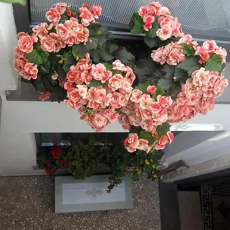 Brancadoria
