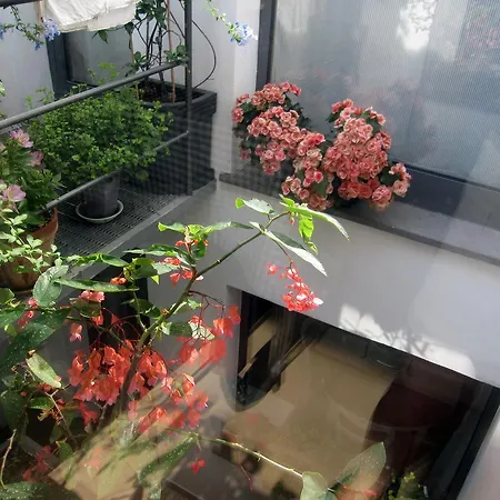 Bed & Breakfast Brancadoria *
